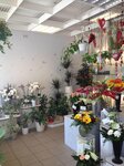 Bild 2 Weißweiler Gerd Blumen am Ring in Mönchengladbach
