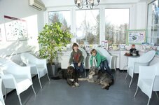 Bild 4 Gemmer in Meerbusch