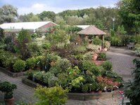 Bild 9 Hesselmann in Ratingen