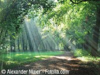Bild 1 Kreuer in Monheim am Rhein