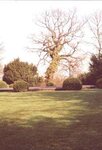 Bild 4 Vishers Garten-und Landschaftsbau GmbH in Düsseldorf