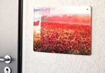 Bild 4 DDH GmbH - DigitalDruck Hilden in Hilden