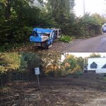 Bild 10 Baum & Forst Tiege in Moers