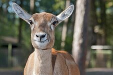 Bild 6 Brüggen in Brüggen