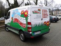 Bild 3 Lümmelwiese in Kempen