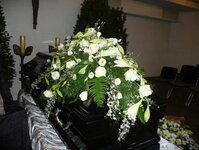 Bild 6 Annette Horst Blumen und Pflanzen in Wesel