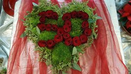 Bild 3 Blumen Antons in Korschenbroich