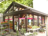 Bild 1 Brammen in Krefeld