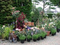 Bild 10 Hesselmann in Ratingen