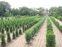 Bild 2 Hesselmann in Ratingen