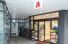 Bild 2 Bären in Mönchengladbach