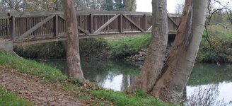 Bild 1 Bloemen in Kleve