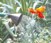 Bild 1 Hörchens Gartengestaltung in Mönchengladbach
