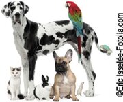 Bild 1 Tierarztpraxis Dr. Kristin Schröder in Hilden