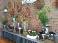 Bild 3 Romana's Blumenladen in Kamp-Lintfort