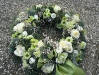 Bild 7 Annette Horst Blumen und Pflanzen in Wesel