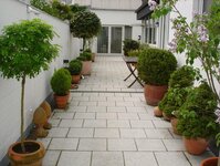 Bild 9 Schmitz in Viersen