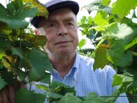 Bild 3 Zatryp Weinspezialitäten in Willich