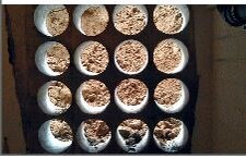 Bild 1 Beton- Bohr- Sägetechnik Garden in Rheinberg