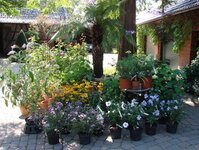 Bild 1 Hesselmann in Ratingen