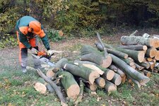 Bild 9 Wendling GbR in Erkrath