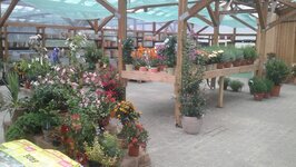 Bild 1 Baumschule Streibl Thomas Schweizer in Osterhofen