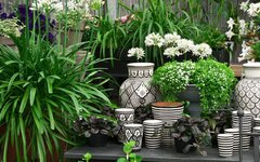 Bild 7 1A Blumen Beck in Gröbenzell