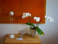 Bild 3 Die Arche - Suizidprävention und Hilfe in Lebenskrisen e.V. in München