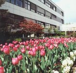 Bild 3 Kliniken Auental und Franken in Bad Steben