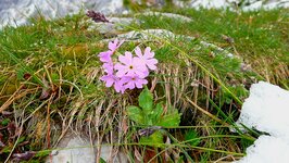 Bild 1 Raum Entfalten | Ordnungs- und Freiraum-Coaching in Karlsfeld