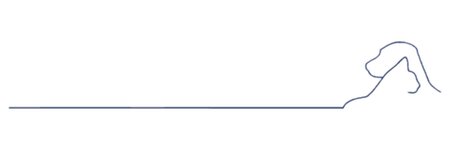 Bild 1 Dr. med. vet. Bettina Hähnle in Berg