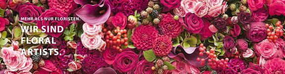 Bild 10 1A Blumen Beck in Gröbenzell