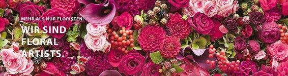 Bild 9 1A Blumen Beck in Gröbenzell