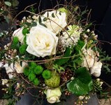 Bild 2 1A Blumen Beck in Gröbenzell