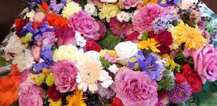 Bild 1 Blumenhaus Stockmaier in München