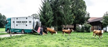 Bild 4 Ludwig Kuchler e.K. Viehtransporte in Miesbach