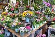 Bild 2 Le Fleur Das Blumencafe in Starnberg