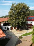 Bild 6 Habel & Bluhm GbR in Kulmbach