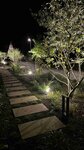 Bild 8 GartenGestaltung Christian Stegmann in Bessenbach