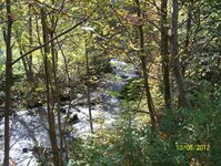 Bild 49 Stefans Angelshop in Regensburg