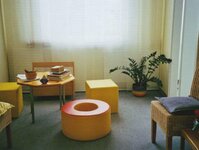 Bild 1 Geier in Steinbach a.Wald