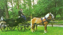 Bild 1 Weich in Hirschau