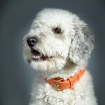 Bild 1 Fotografin Anne Schamberger in Nürnberg