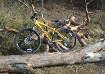 Bild 1 S & S Bike-Shop in Veitshöchheim