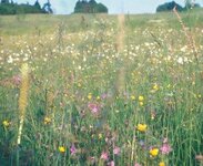 Bild 1 Amt für Ernährung, Landwirtschaft u. Forsten Bamberg mit Landwirtschaftsschule in Bamberg