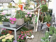 Bild 5 Blumen Bauer GmbH in Neumarkt i.d.OPf.