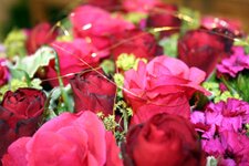 Bild 6 Blumenhaus am Hochweg Inh.Listl Christian e.K. in Regensburg