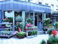 Bild 1 Blumenhaus am Hochweg Inh.Listl Christian e.K. in Regensburg