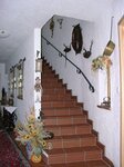Bild 6 Birnbaum in Erlangen