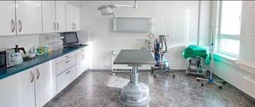 Bild 7 Tierärztliche Praxis für Kleintiere Dr. med. vet. Uwe Reinhard in Lauf